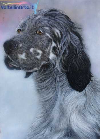 Ritratto - Setter Inglese