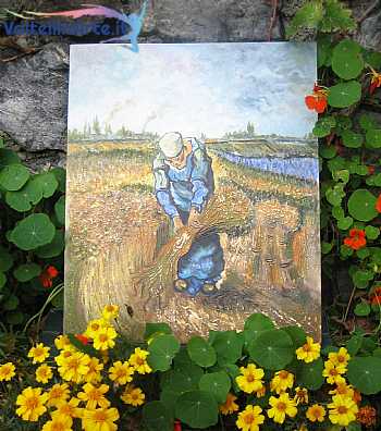Contadina che raccoglie il grano (omaggio a Vincent van Gogh)t