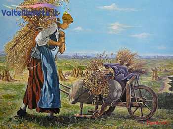 La raccolta del grano