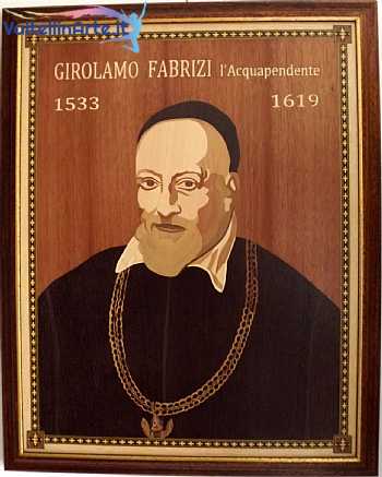 Girolamo Frabrizi l'Acquapendente