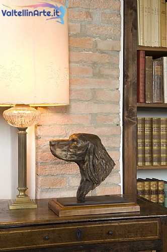 Furio Setter Inglese