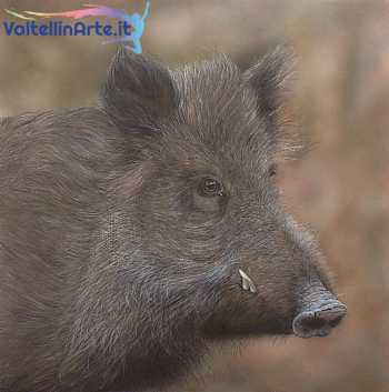 Cinghiale ritratto