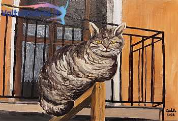 Gatto
