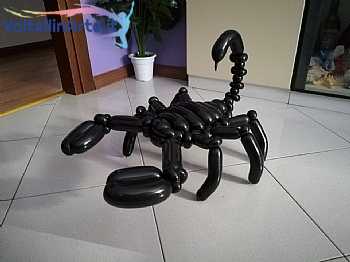 Scorpione