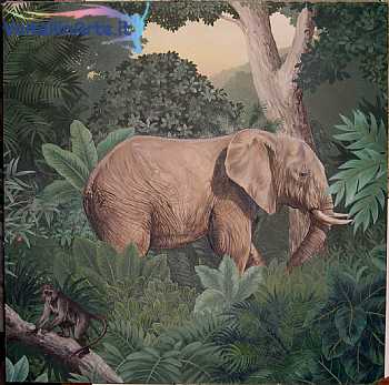 elefante