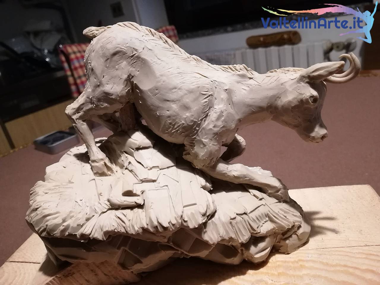 Camoscio
