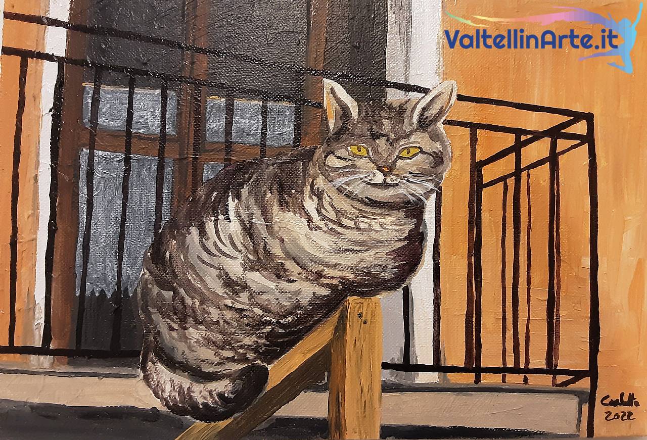 Gatto