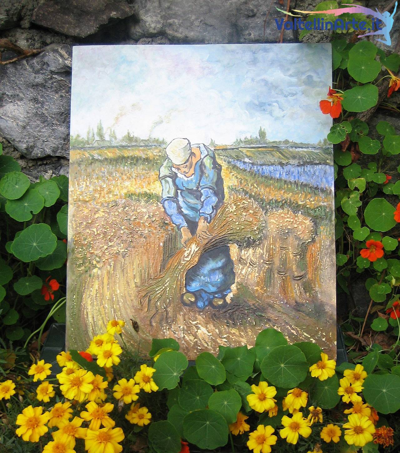 Contadina che raccoglie il grano (omaggio a Vincent van Gogh)t