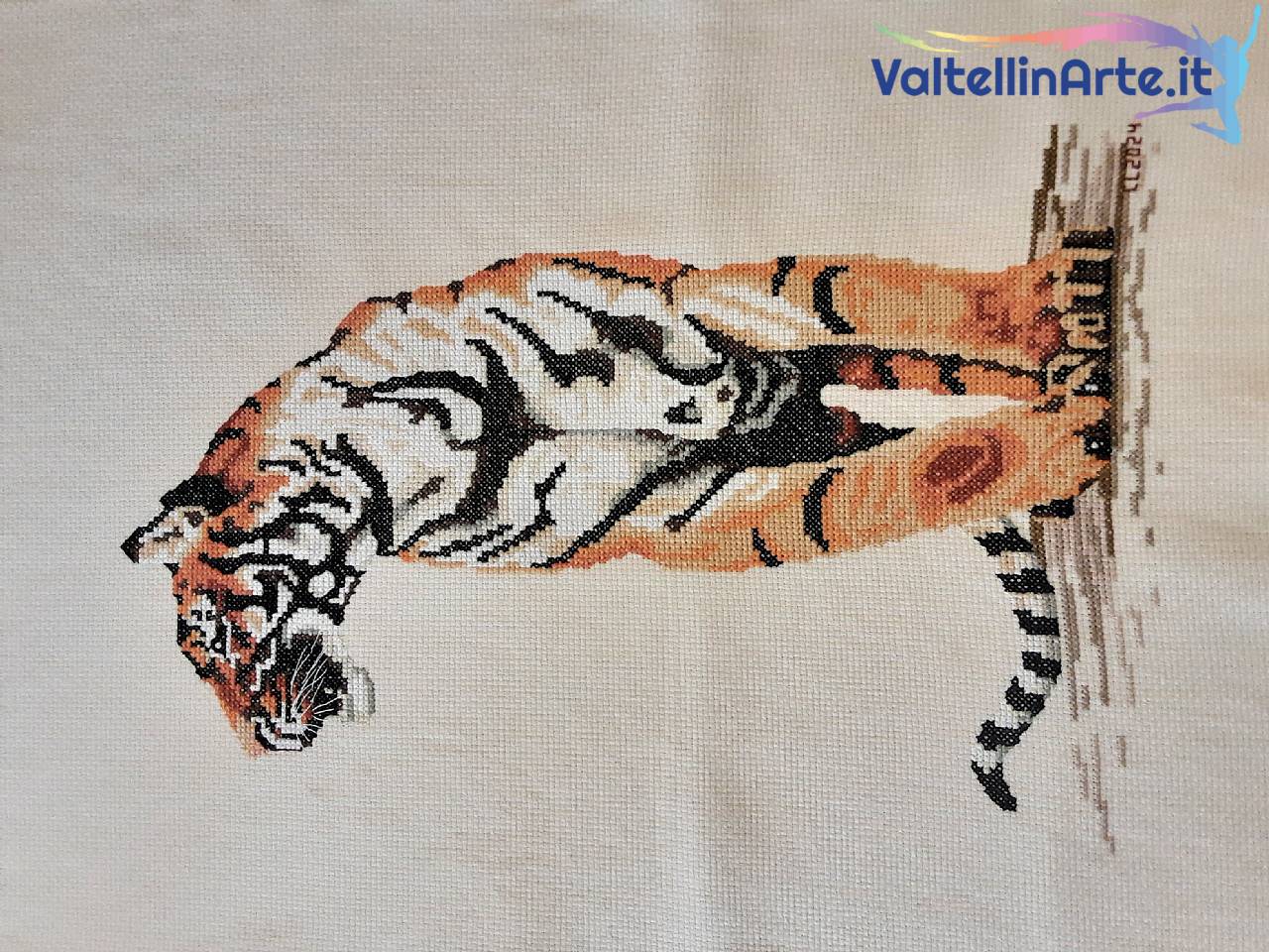 Tigre