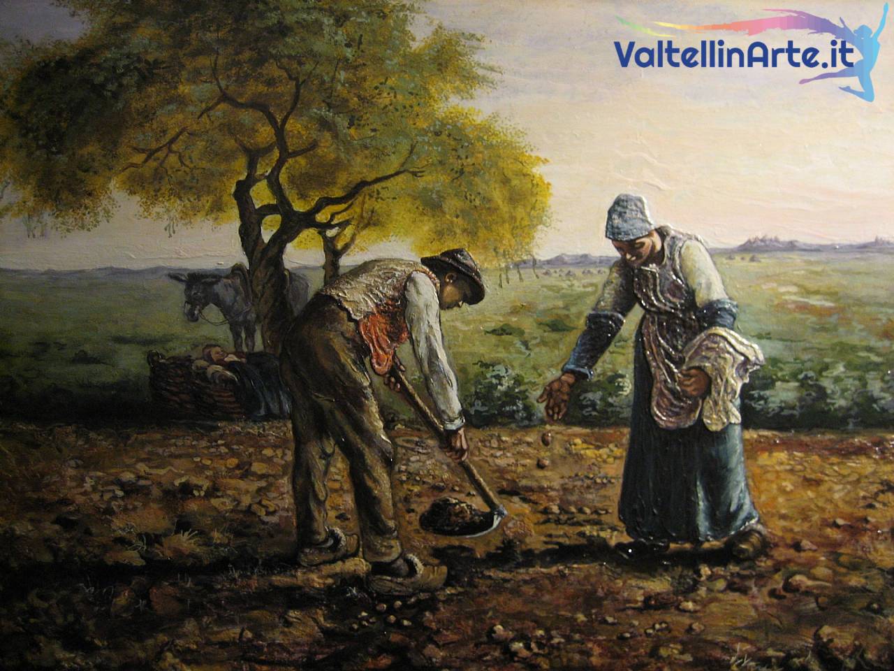 La semina delle patate